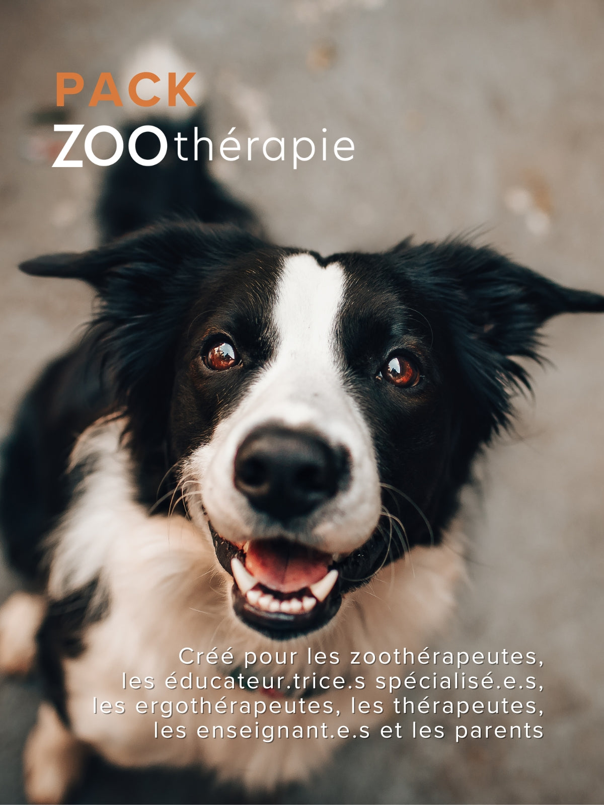 Pack | Zoothérapie – À la maison et à la ferme | Éditions Émotion